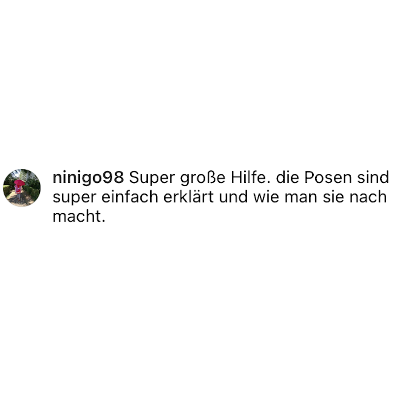 feedback_pfc_ninigo98